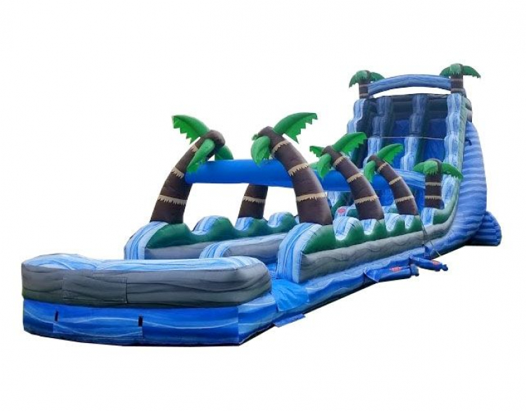 Tropical Slide 22' Dual Slide