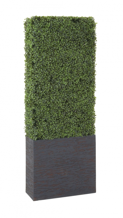 Boxwood Rental